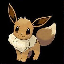 eevee eevee
